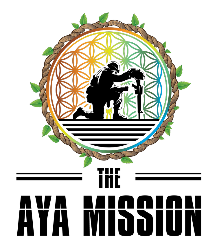 The Aya Mission